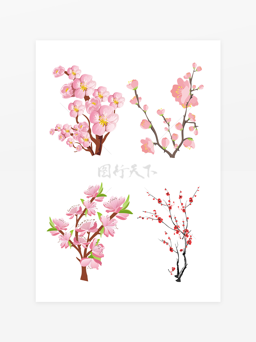 母亲节手绘樱花梅花树枝花卉插画